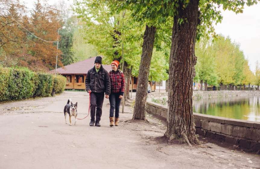 How Do I Choose the Best National Park Town for My Family
